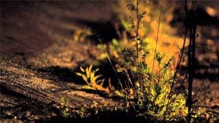 Thelma and Clyde - Lockstitch