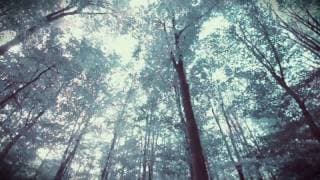 Mar Variation - 1st Session