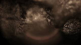 For a Minor Reflection