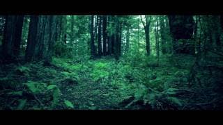 Baths - Lovely Bathflow